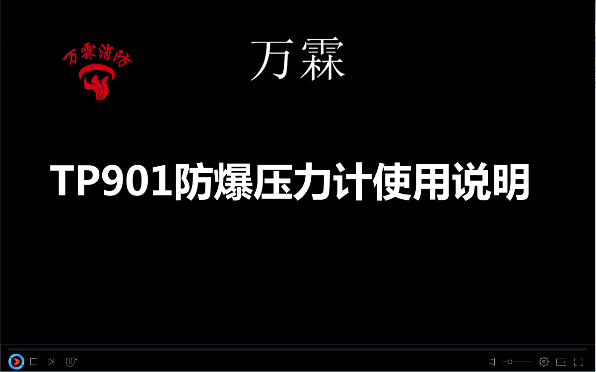 TP901防爆压力计使用说明